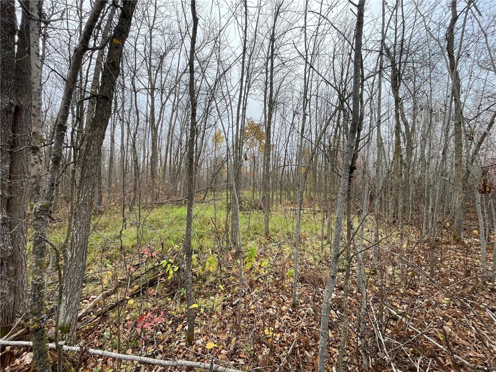 TBD Upper Rice Lake Road Minerva Twp MN 56676 - Minerva 6807445 image24