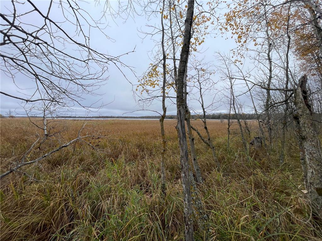TBD Upper Rice Lake Road Minerva Twp MN 56676 - Minerva 6807445 image25