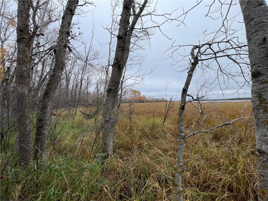 TBD Upper Rice Lake Road Minerva Twp MN 56676 - Minerva 6807445 image26