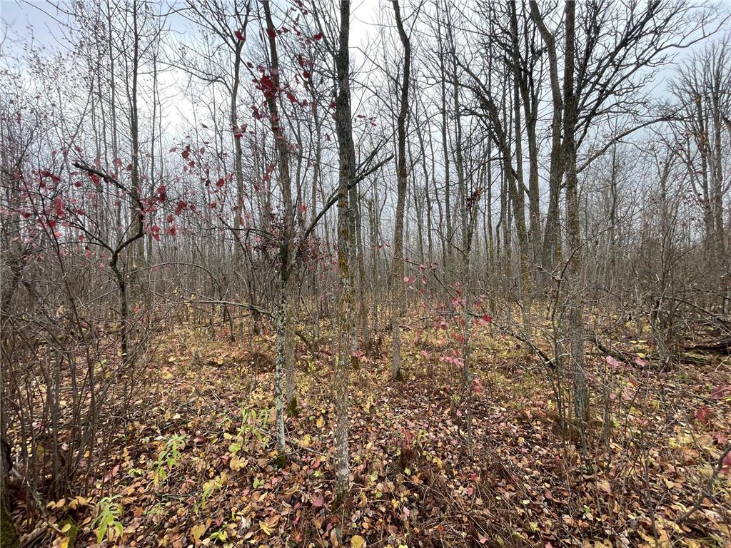 TBD Upper Rice Lake Road Minerva Twp MN 56676 - Minerva 6807445 image27