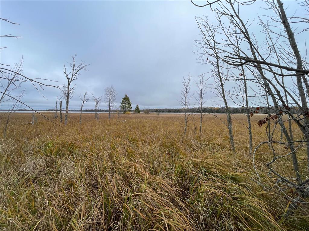 TBD Upper Rice Lake Road Minerva Twp MN 56676 - Minerva 6807445 image29