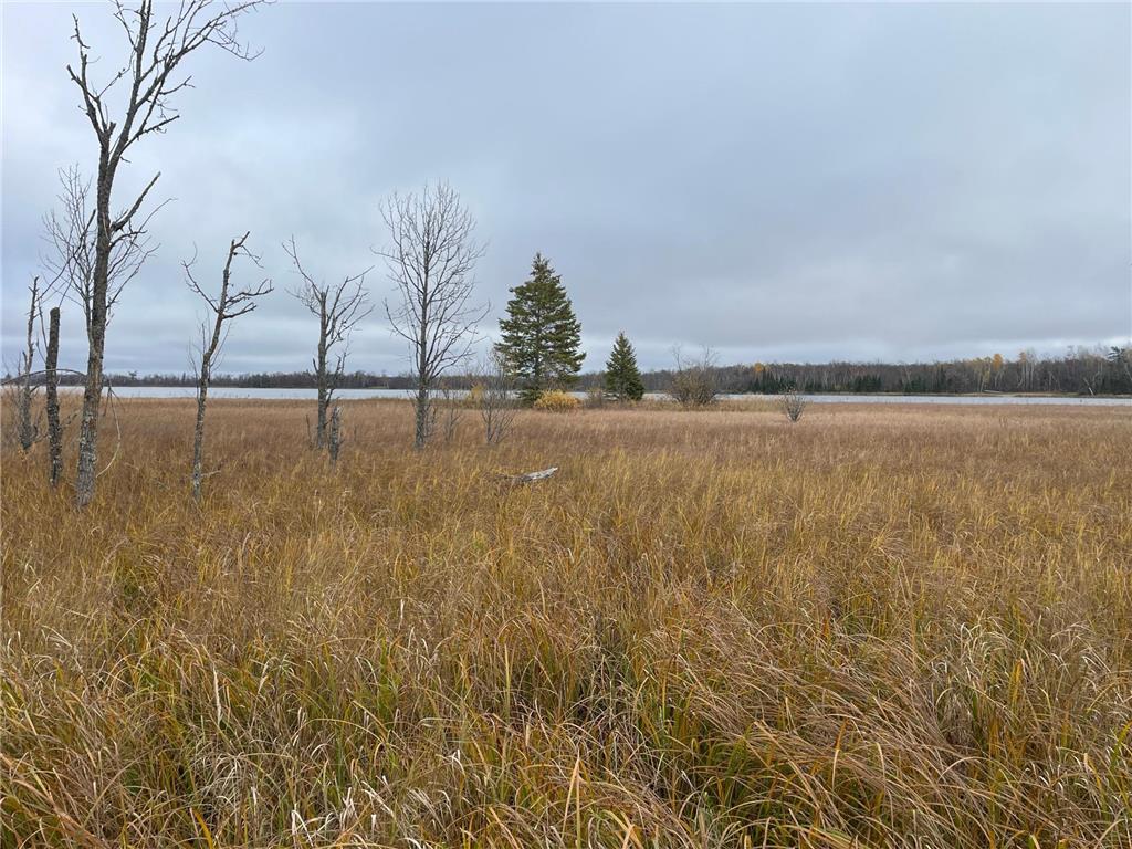 TBD Upper Rice Lake Road Minerva Twp MN 56676 - Minerva 6807445 image30
