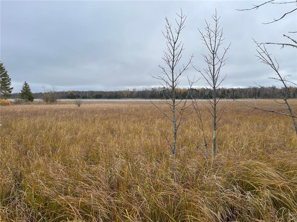 TBD Upper Rice Lake Road Minerva Twp MN 56676 - Minerva 6807445 image31