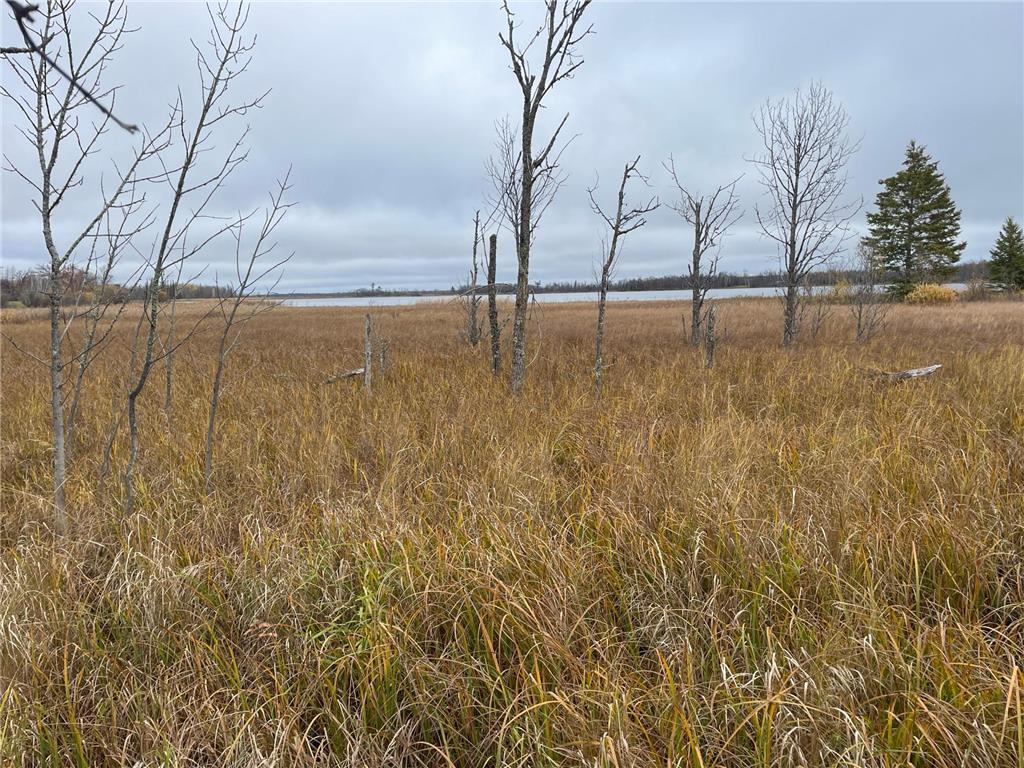 TBD Upper Rice Lake Road Minerva Twp MN 56676 - Minerva 6807445 image32