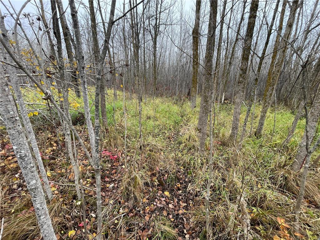 TBD Upper Rice Lake Road Minerva Twp MN 56676 - Minerva 6807445 image34