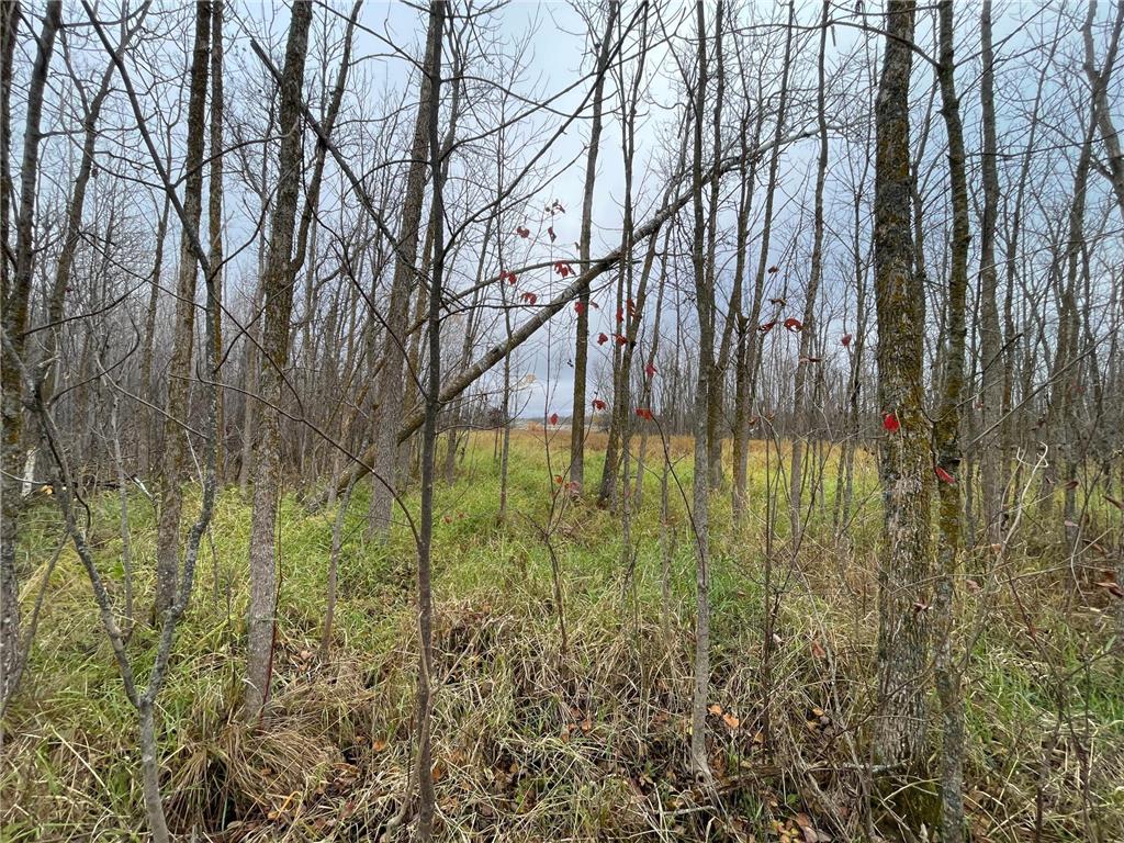 TBD Upper Rice Lake Road Minerva Twp MN 56676 - Minerva 6807445 image35