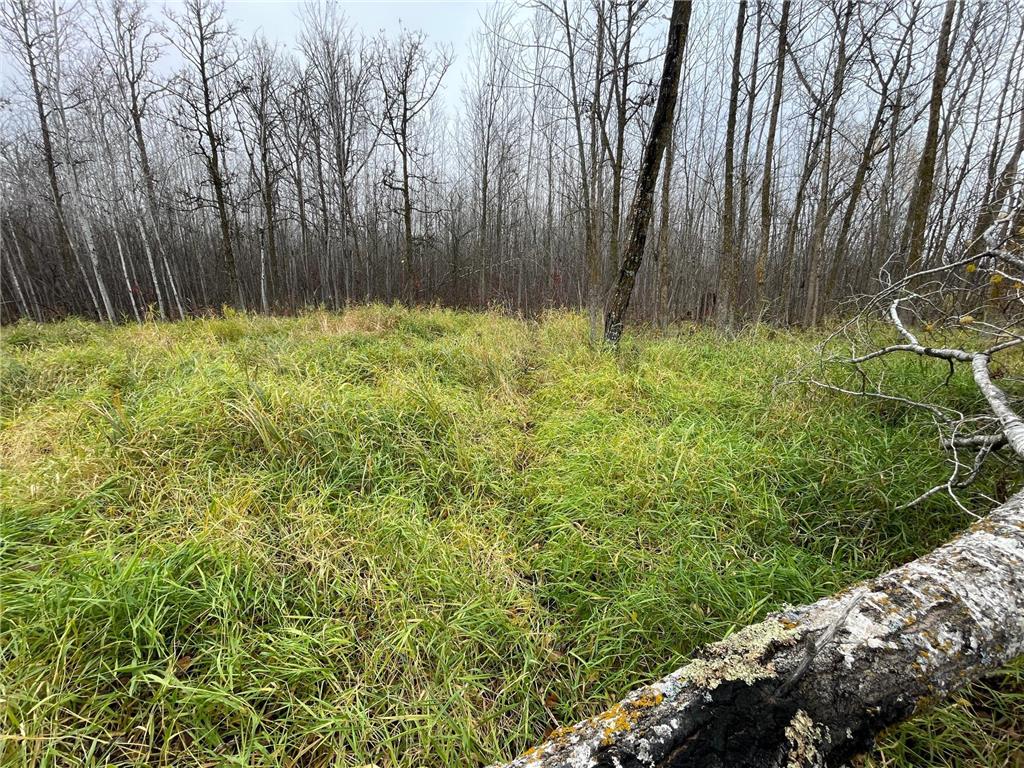 TBD Upper Rice Lake Road Minerva Twp MN 56676 - Minerva 6807445 image36