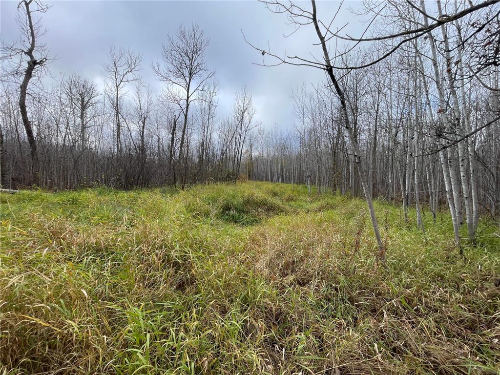 TBD Upper Rice Lake Road Minerva Twp MN 56676 - Minerva 6807445 image37