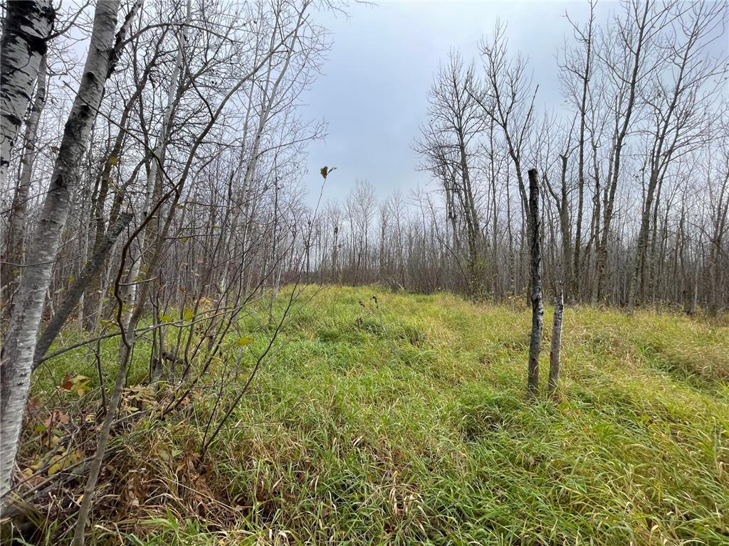 TBD Upper Rice Lake Road Minerva Twp MN 56676 - Minerva 6807445 image38