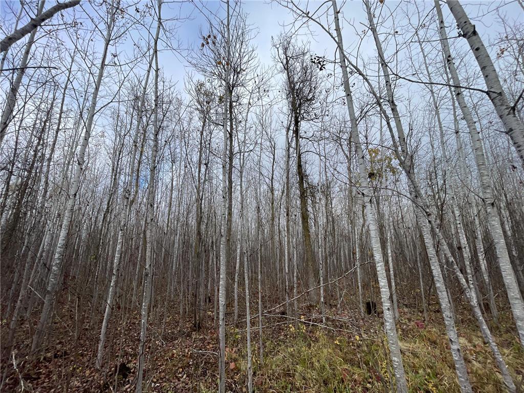 TBD Upper Rice Lake Road Minerva Twp MN 56676 - Minerva 6807445 image39