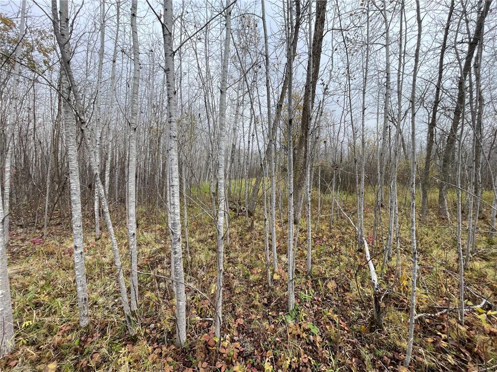 TBD Upper Rice Lake Road Minerva Twp MN 56676 - Minerva 6807445 image40