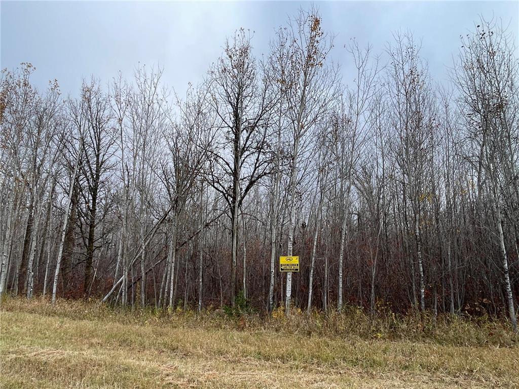 TBD Upper Rice Lake Road Minerva Twp MN 56676 - Minerva 6807445 image42