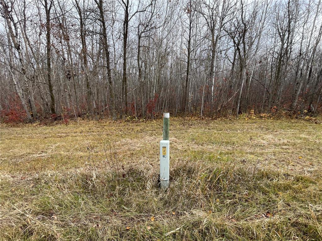 TBD Upper Rice Lake Road Minerva Twp MN 56676 - Minerva 6807445 image43