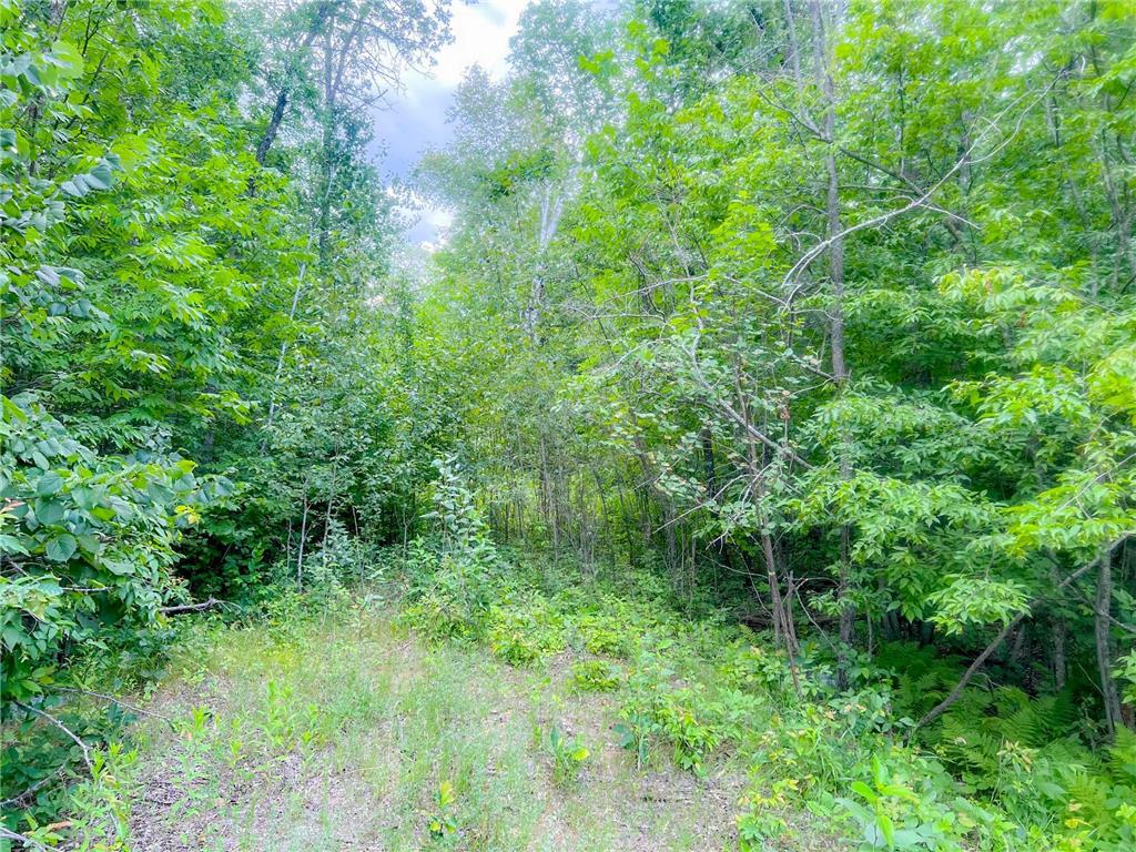 TBD Vagabond Loop Farden Twp MN 56601 6381959 image1