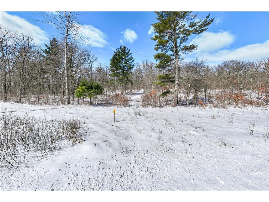 TBD Variety Lake Drive NW Hiram Twp MN 56452 - Jackpine 7042234 image15