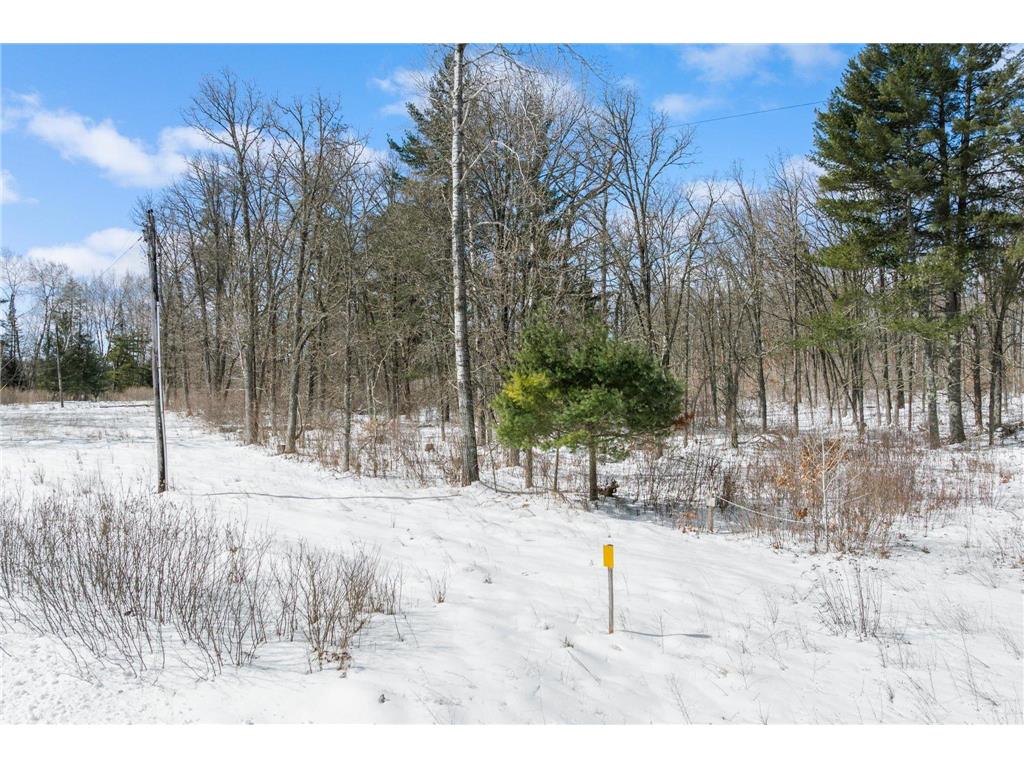TBD Variety Lake Drive NW Hiram Twp MN 56452 - Jackpine 7042234 image3