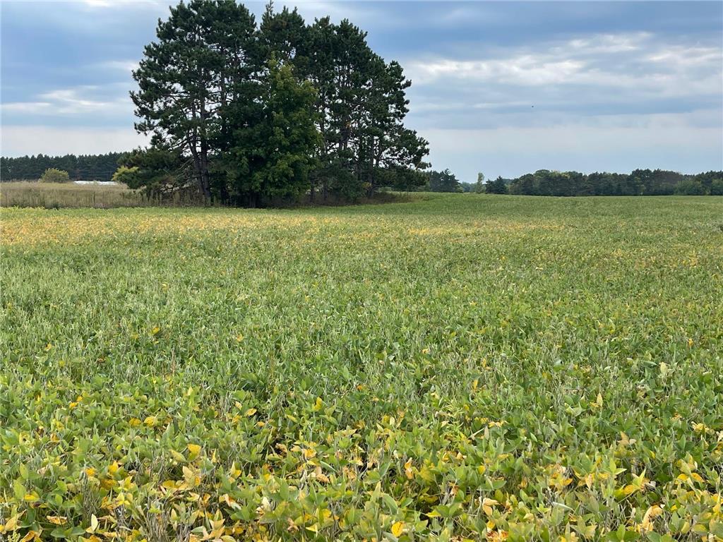 TBD Verdin Street NW Cambridge MN 55008 6788294 image1