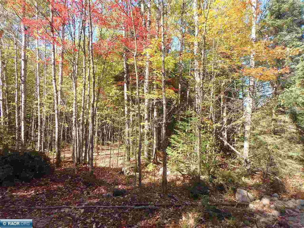 TBD Vermilion Lake Road Cook MN 55723 6824372 image10