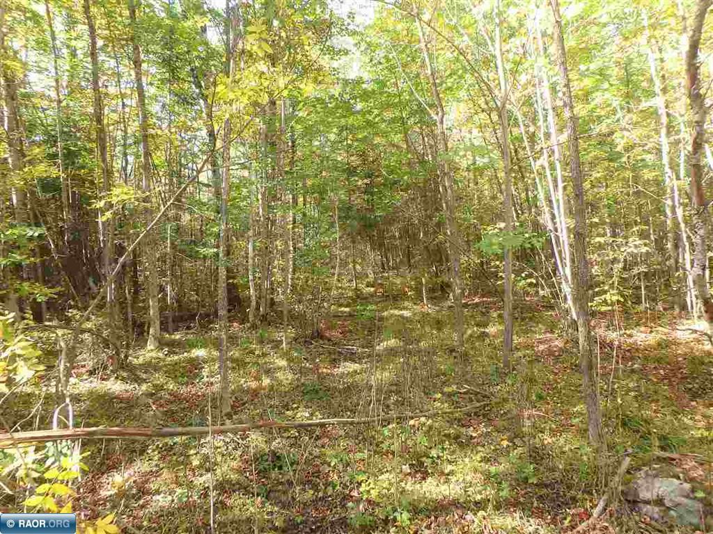 TBD Vermilion Lake Road Cook MN 55723 6824372 image8