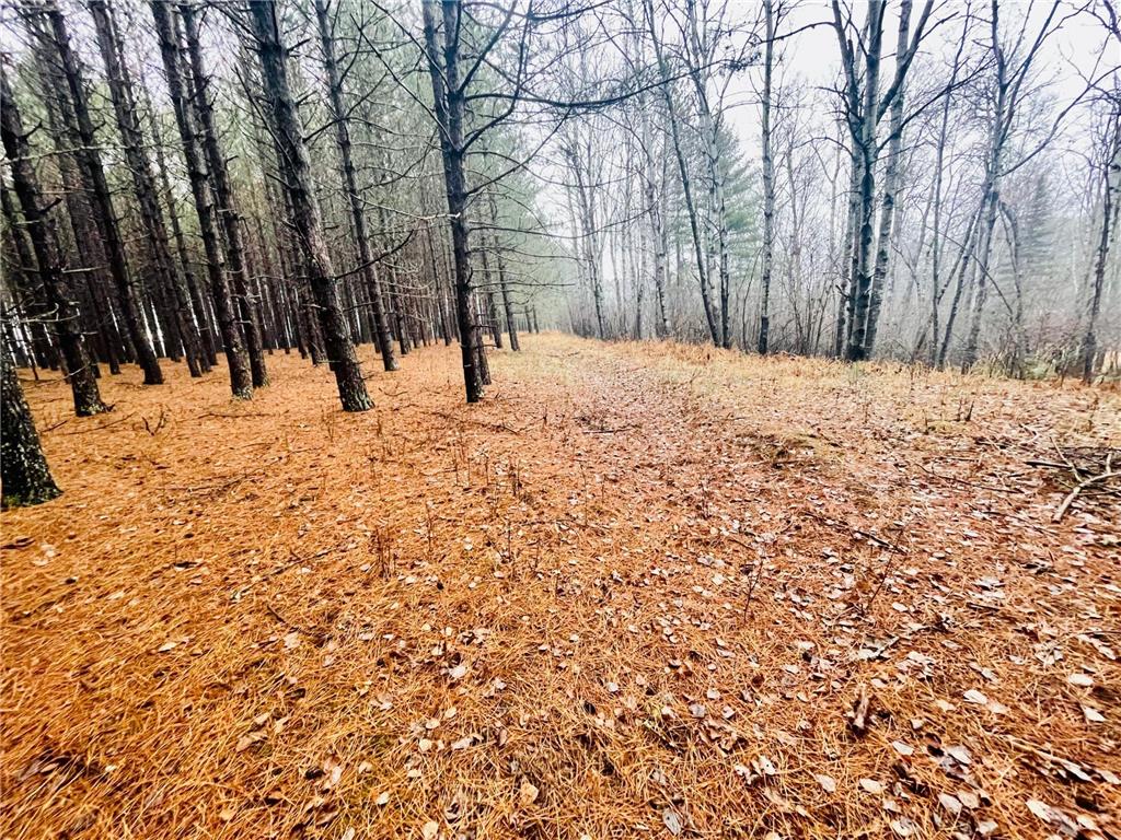 TBD Vermillion Trail Gilbert MN 55741 6470202 image1