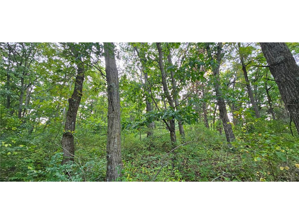 TBD Village Road Rushford MN 55971 6423699 image1