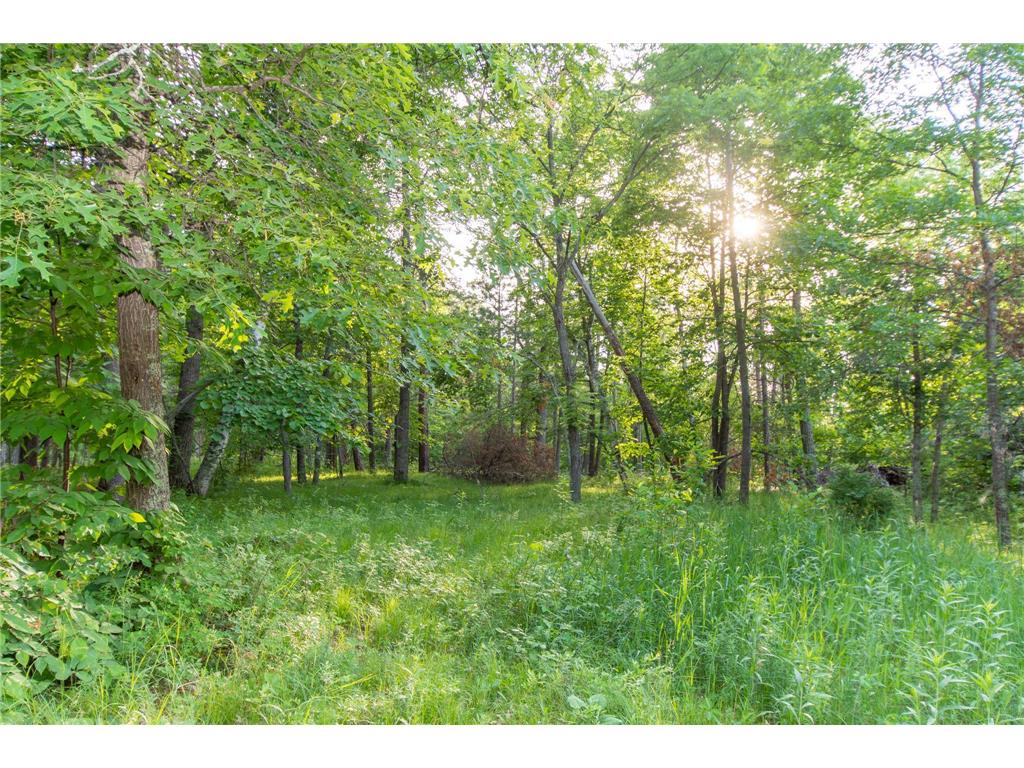 TBD Violet Lane Breezy Point MN 56472 - Ossawinnamakee 6384059 image1