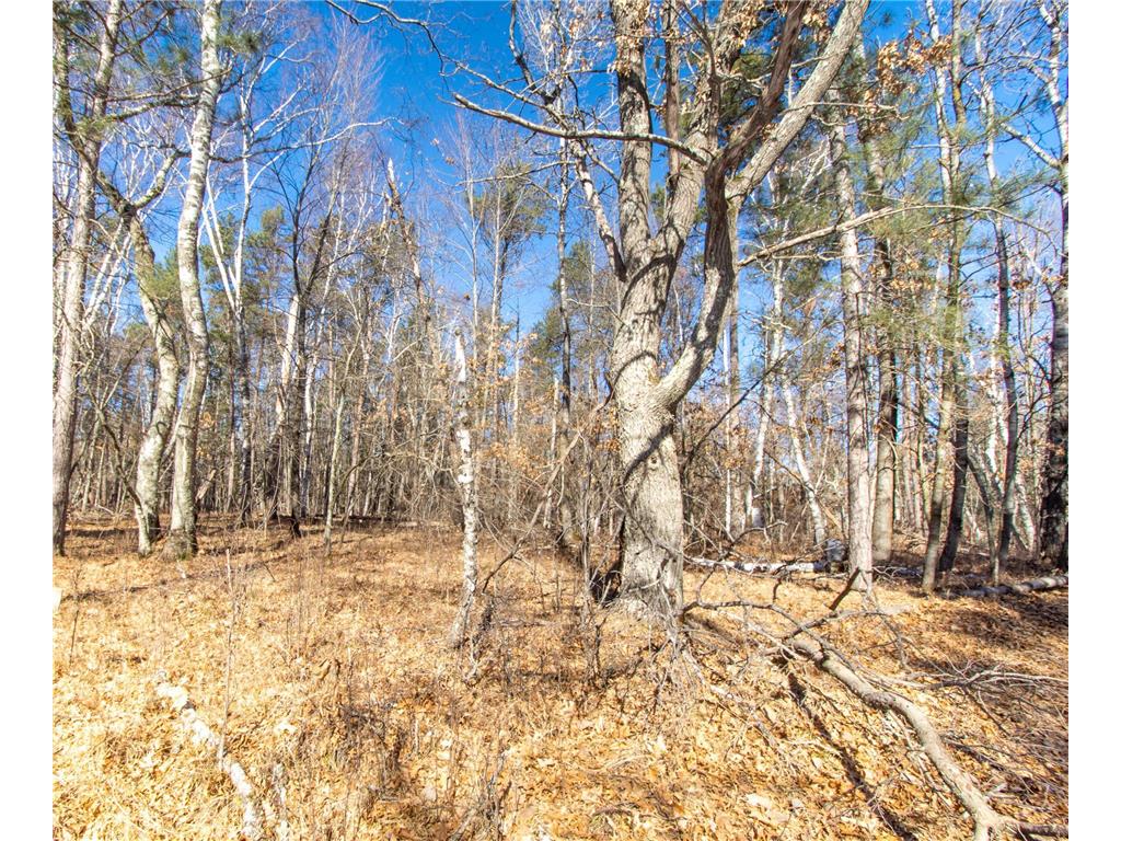 TBD Violet Lane Breezy Point MN 56472 - Ossawinnamakee 6507004 image1