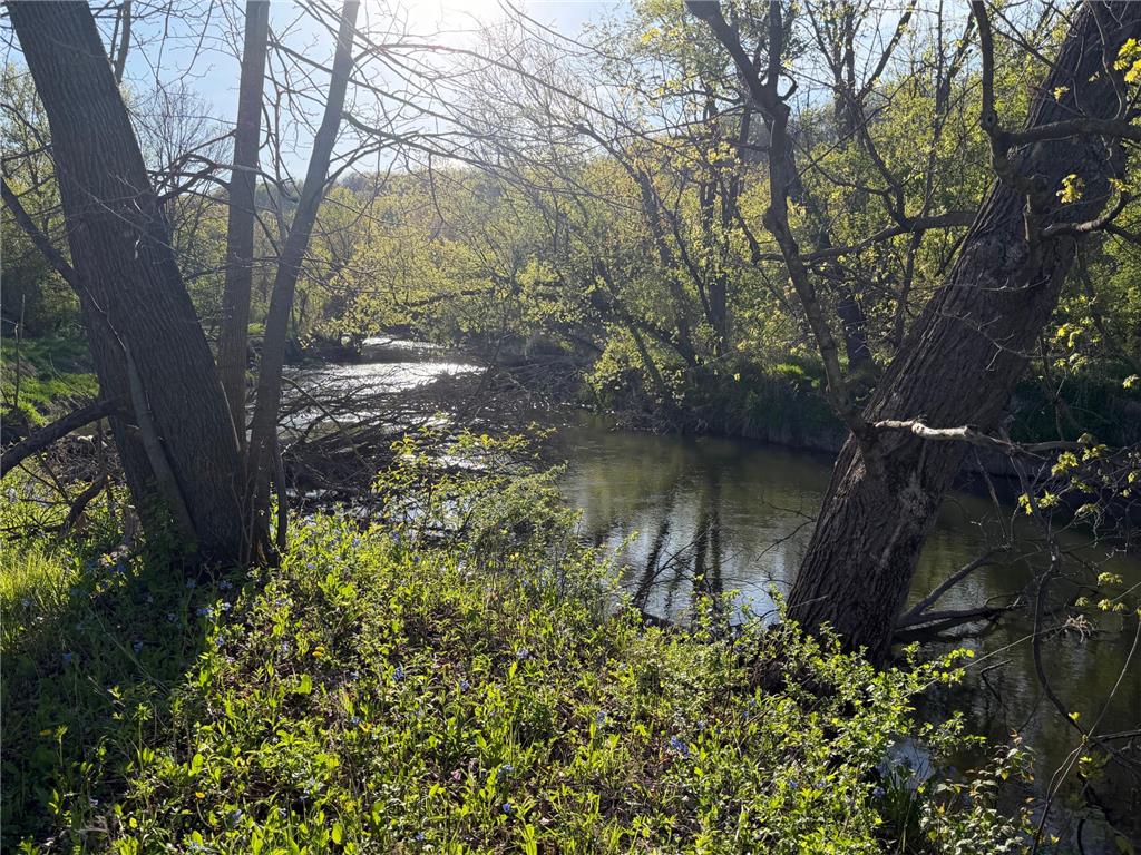 TBD Vista Ridge Lane NW Byron MN 55901 - Zumbro River 7066758 image2