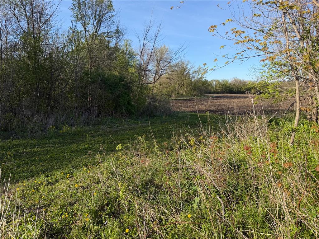 TBD Vista Ridge Lane NW Byron MN 55901 - Zumbro River 7066758 image25