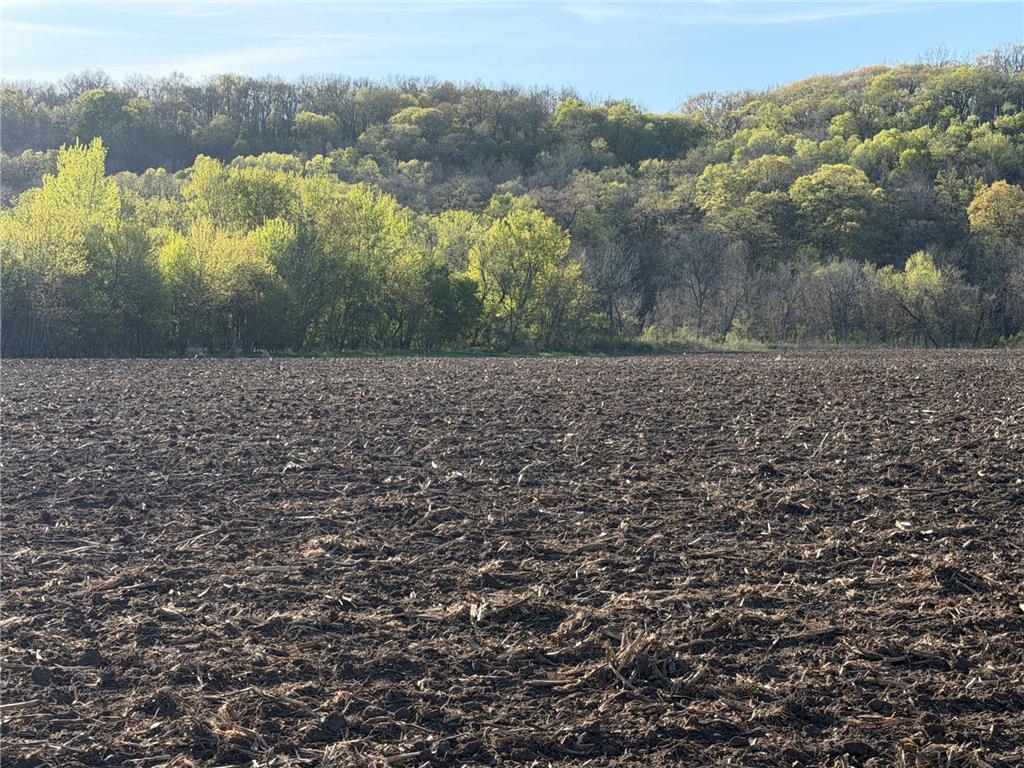 TBD Vista Ridge Lane NW Byron MN 55901 - Zumbro River 7066758 image26