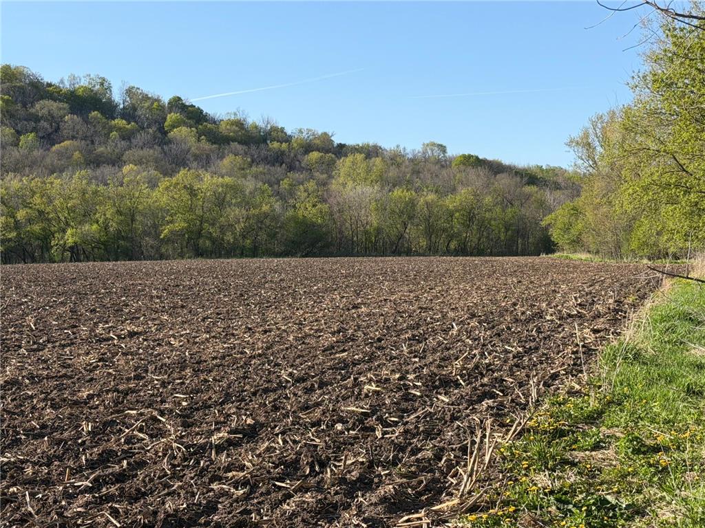 TBD Vista Ridge Lane NW Byron MN 55901 - Zumbro River 7066758 image27