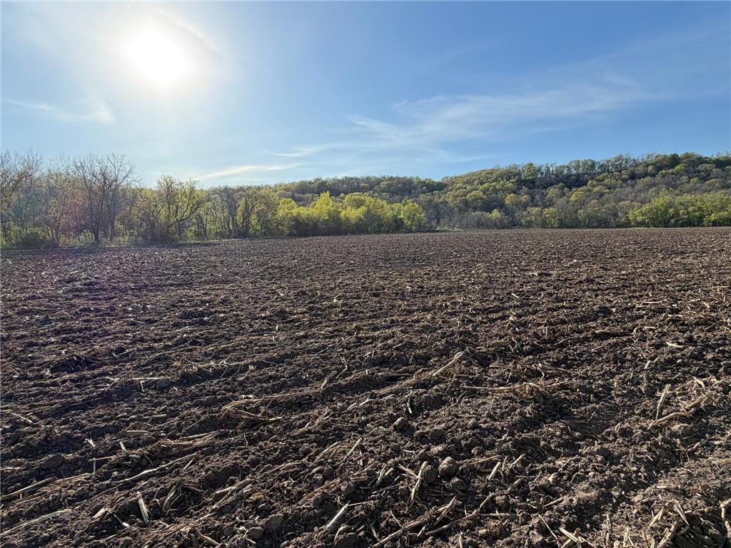 TBD Vista Ridge Lane NW Byron MN 55901 - Zumbro River 7066758 image28