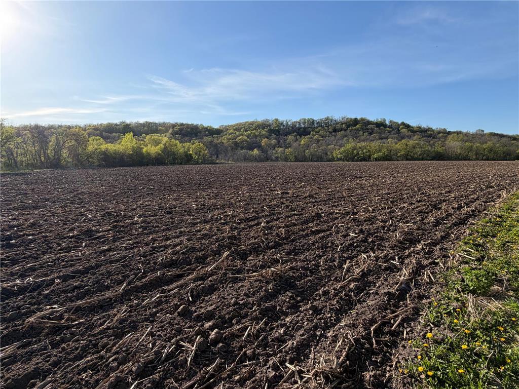 TBD Vista Ridge Lane NW Byron MN 55901 - Zumbro River 7066758 image29