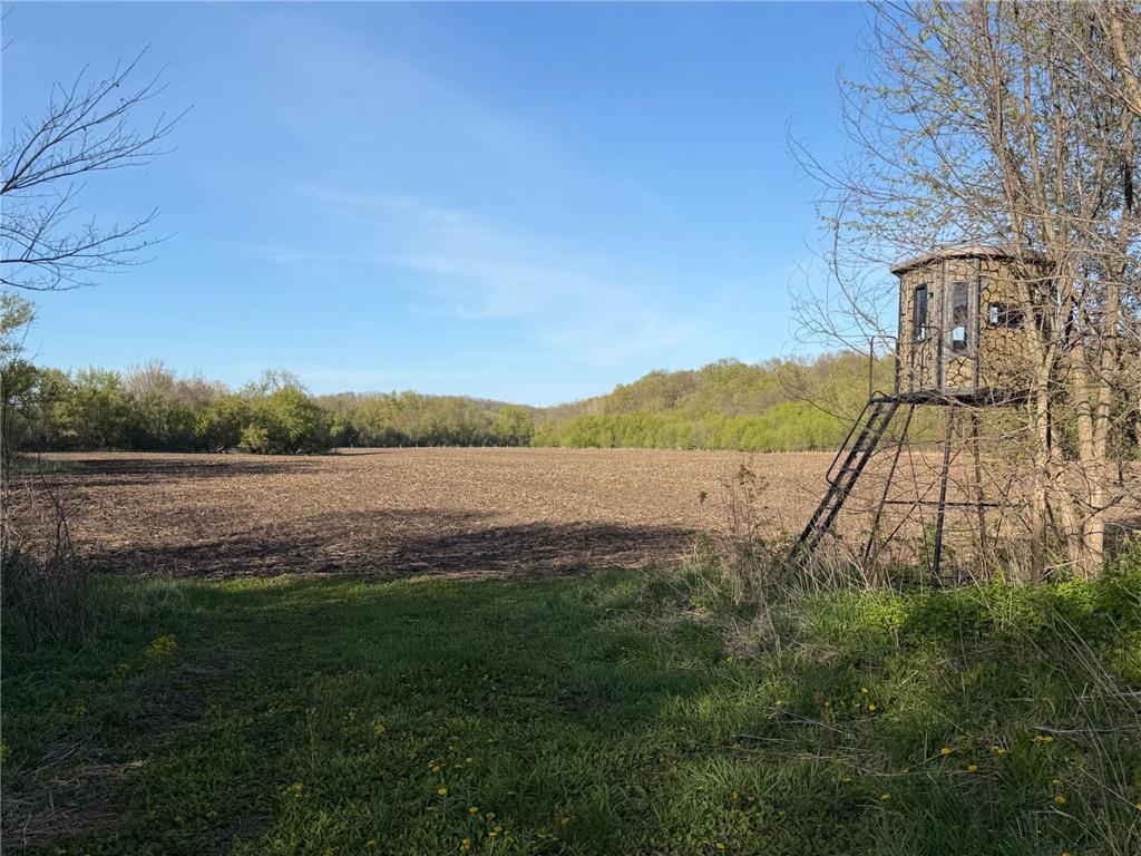 TBD Vista Ridge Lane NW Byron MN 55901 - Zumbro River 7066758 image3