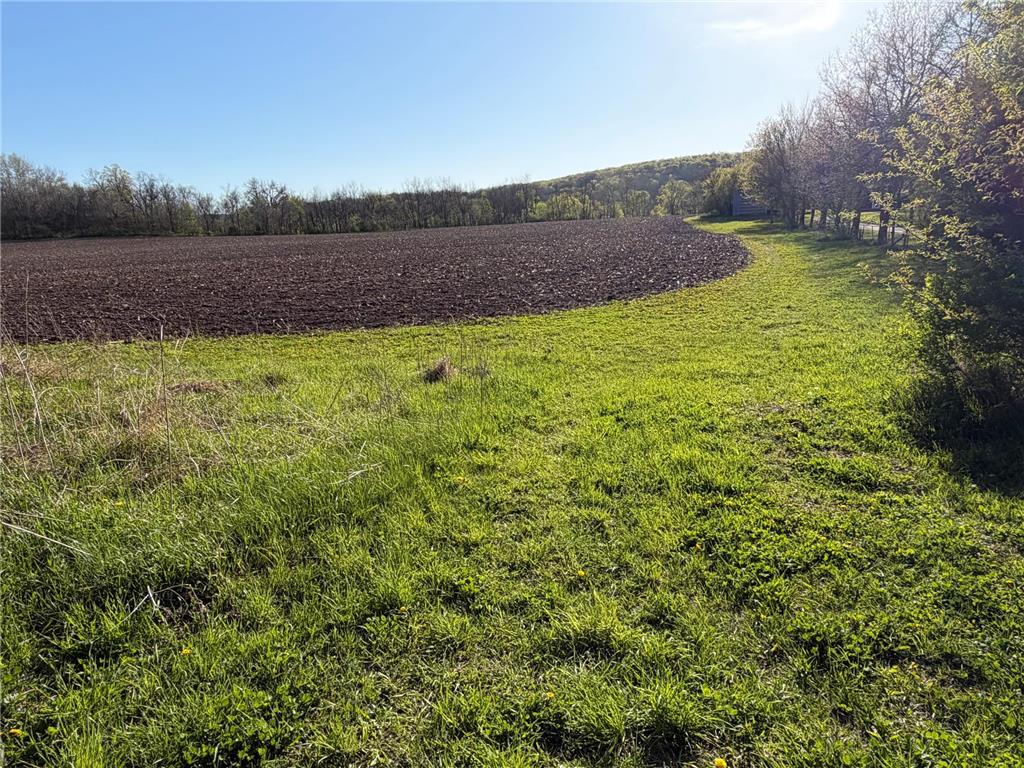 TBD Vista Ridge Lane NW Byron MN 55901 - Zumbro River 7066758 image32