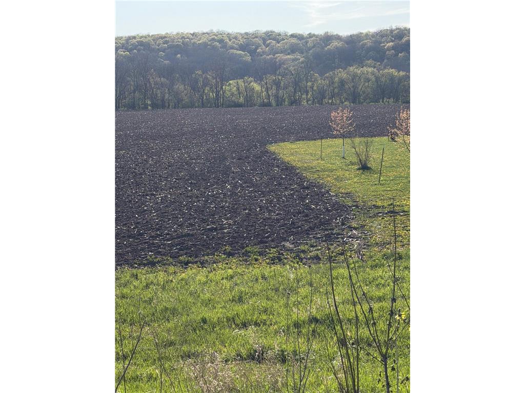 TBD Vista Ridge Lane NW Byron MN 55901 - Zumbro River 7066758 image36