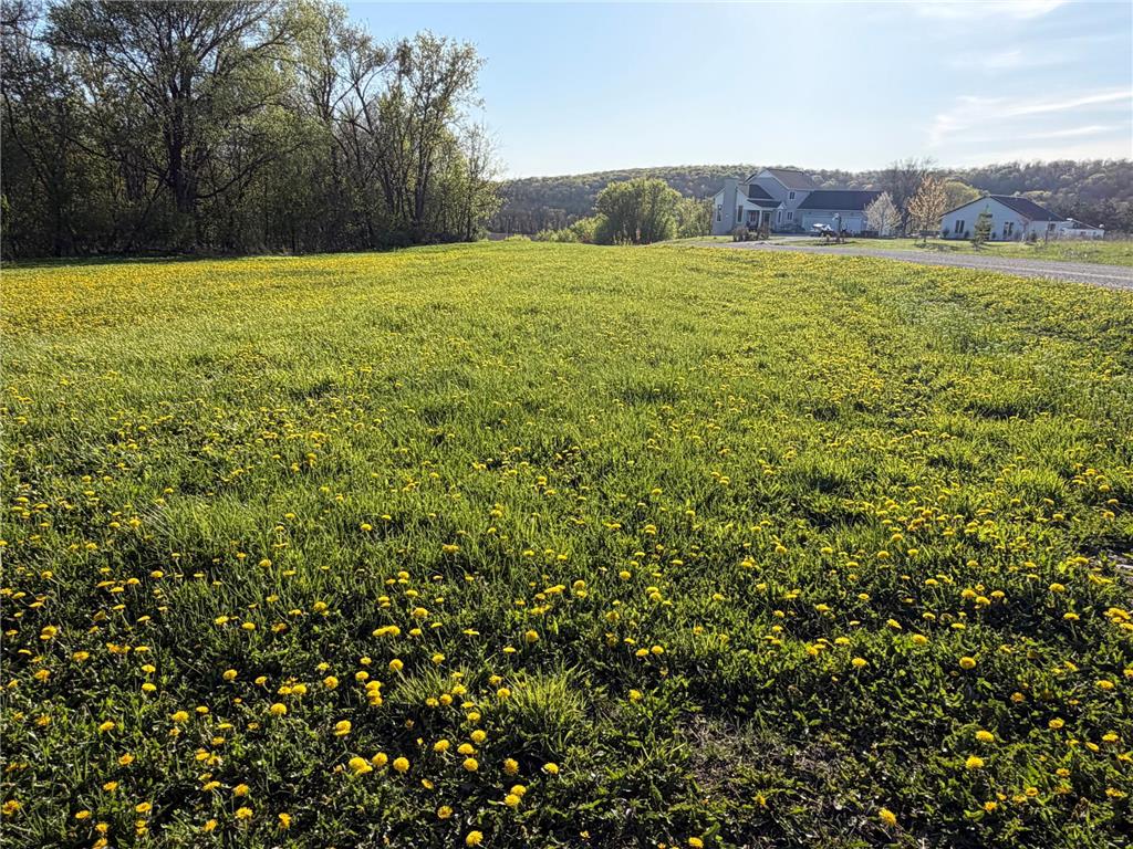 TBD Vista Ridge Lane NW Byron MN 55901 - Zumbro River 7066758 image38