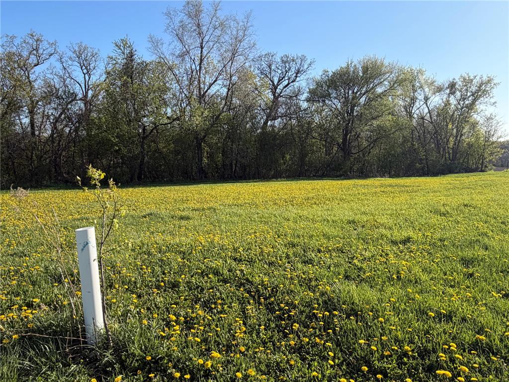 TBD Vista Ridge Lane NW Byron MN 55901 - Zumbro River 7066758 image39