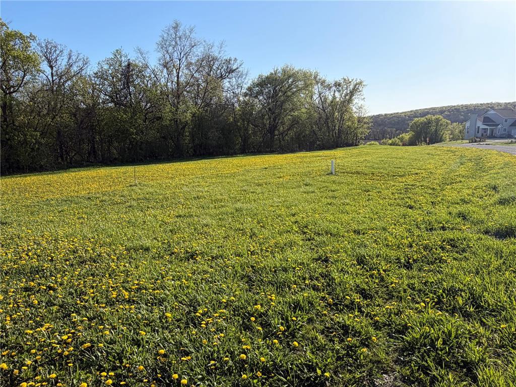 TBD Vista Ridge Lane NW Byron MN 55901 - Zumbro River 7066758 image40