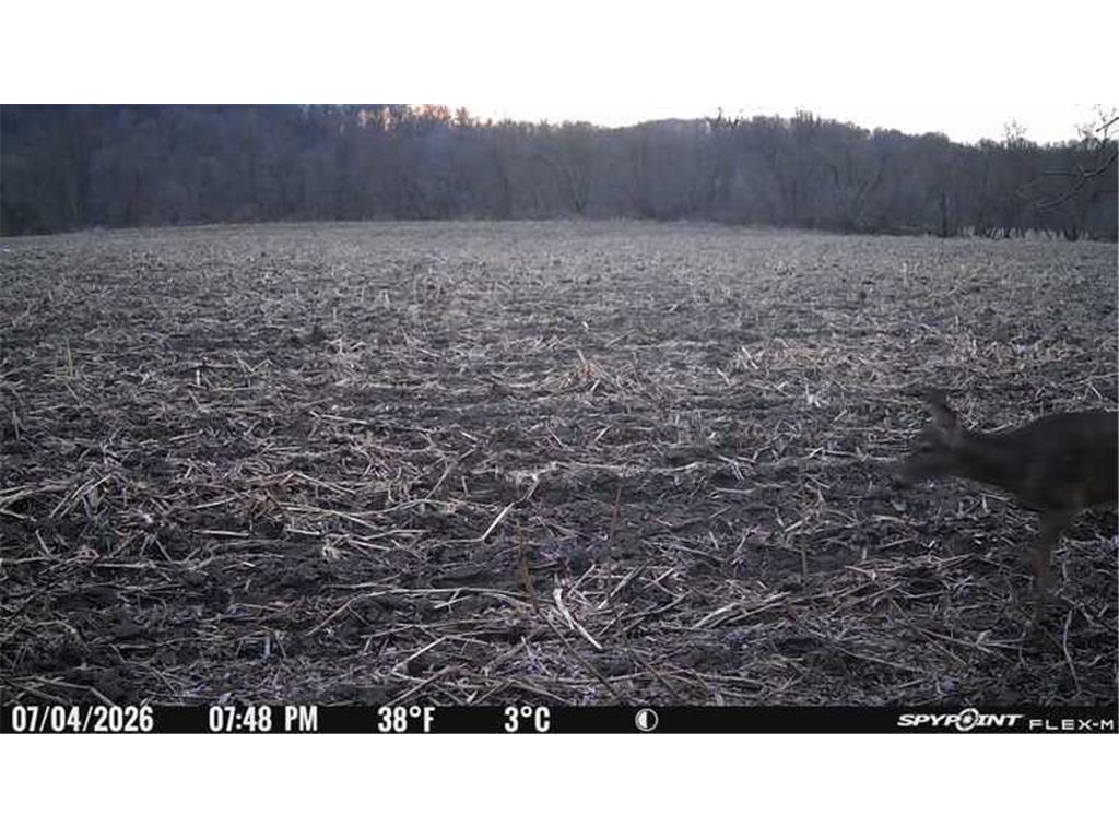 TBD Vista Ridge Lane NW Byron MN 55901 - Zumbro River 7066758 image42