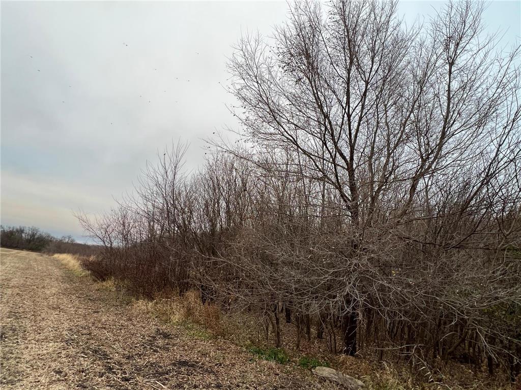 TBD Vista Ridge Lane NW Byron MN 55901 - Zumbro River 7066758 image46