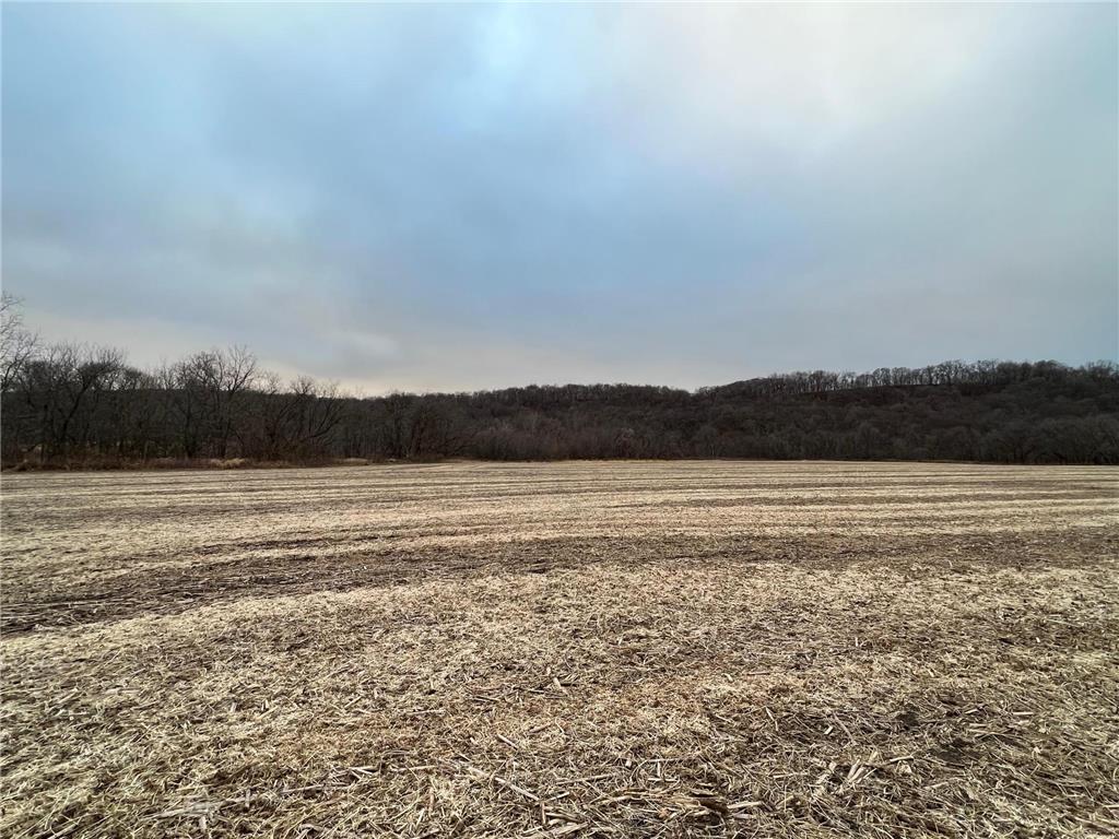 TBD Vista Ridge Lane NW Byron MN 55901 - Zumbro River 7066758 image50