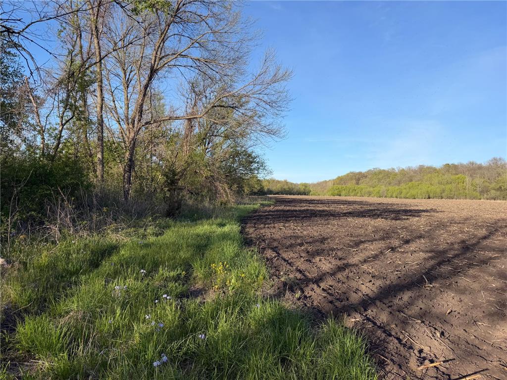 TBD Vista Ridge Lane NW Byron MN 55901 - Zumbro River 7066758 image53