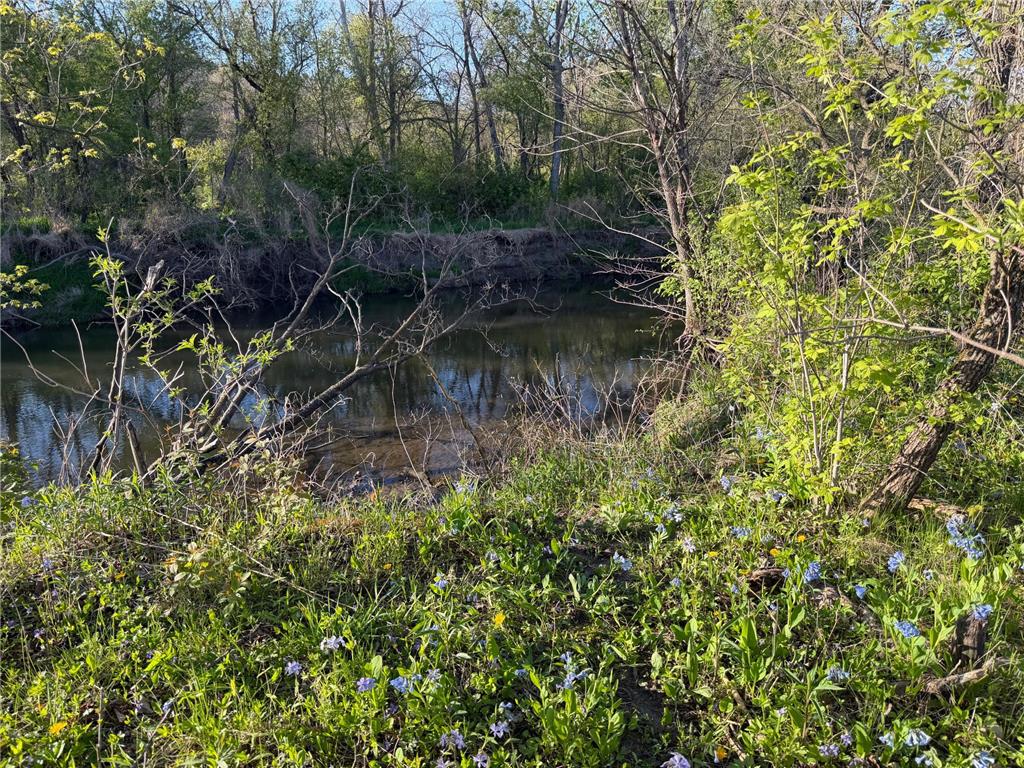 TBD Vista Ridge Lane NW Byron MN 55901 - Zumbro River 7066758 image54