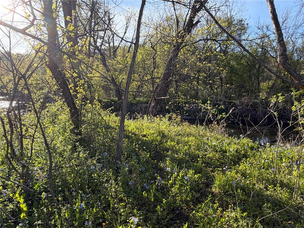 TBD Vista Ridge Lane NW Byron MN 55901 - Zumbro River 7066758 image57