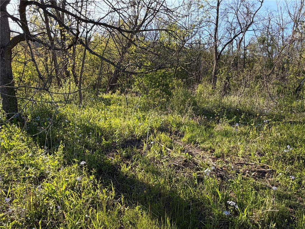 TBD Vista Ridge Lane NW Byron MN 55901 - Zumbro River 7066758 image58