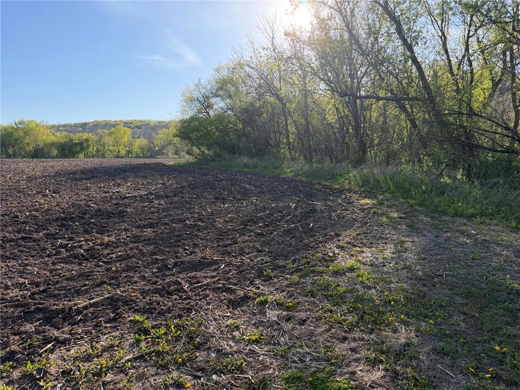 TBD Vista Ridge Lane NW Byron MN 55901 - Zumbro River 7066758 image60