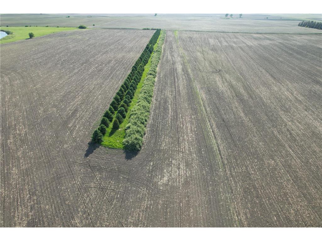 TBD W 1st Avenue Hadley MN 56151 - Summit 6808771 image4