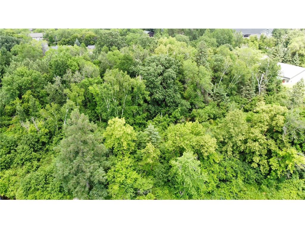 TBD W 2nd Street Pillager MN 56473 - Crow Wing River 6751872 image1