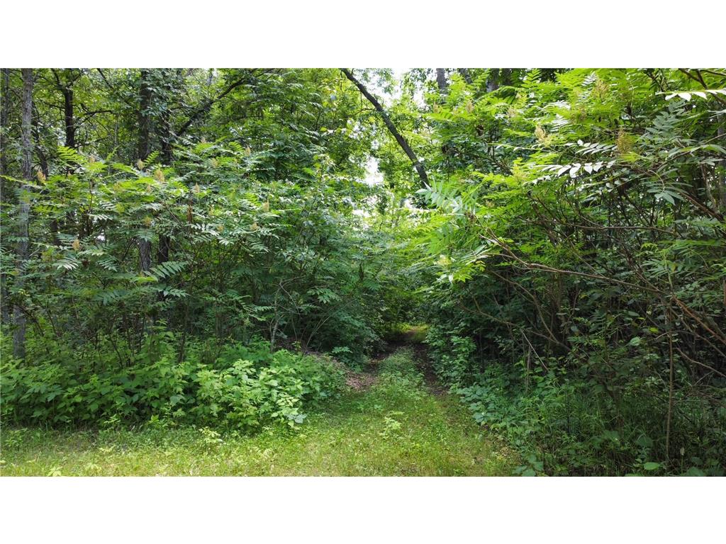TBD W 2nd Street Pillager MN 56473 - Crow Wing River 6751872 image13